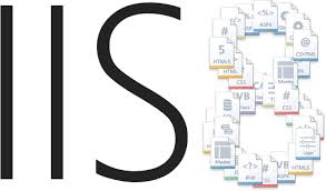 Windows server 2012 IIS 8 kurulumu